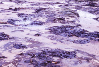 Santa Barbara oil spill 1969