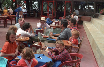 Lunch at Nepenthe, Big Sur 1987