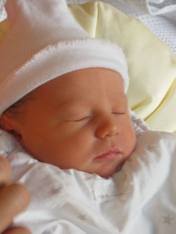 Laleh Manon Farhoumand