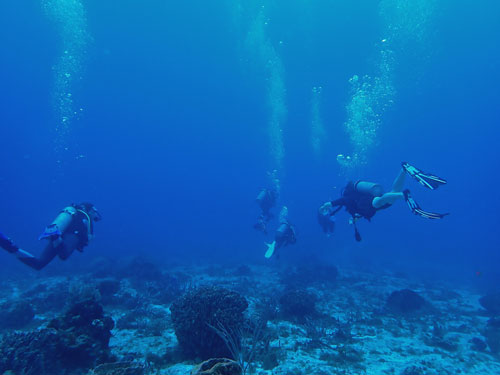 diving