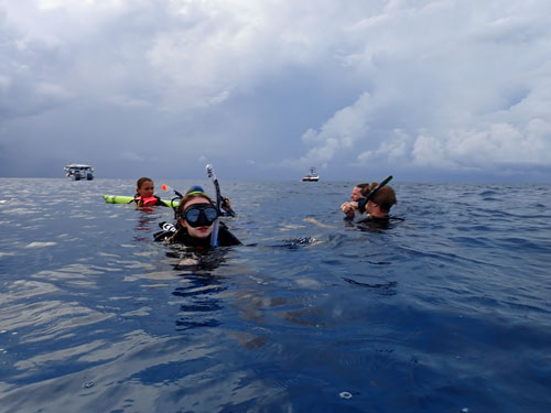 at the surface
