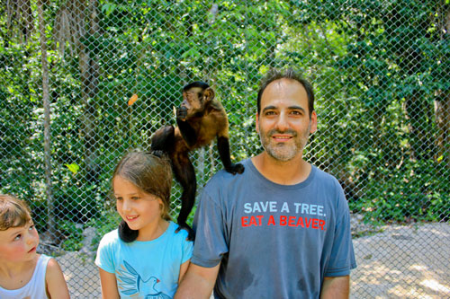 monkey