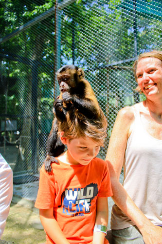 Luca and monkey