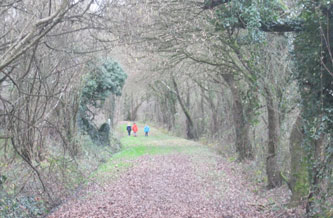 Walk to river