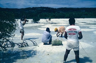Filming on Ouvea
