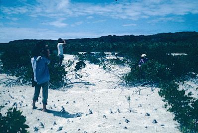 Filming on Ouvea