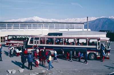 bus