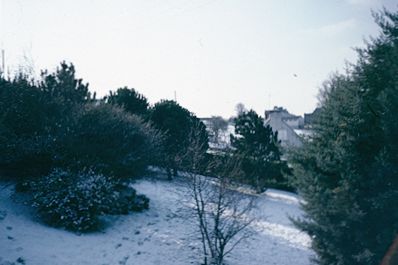 January snow