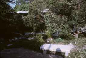 front garden and house