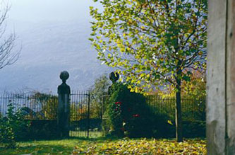 back courtyard garden