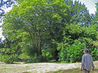 Martine in garden