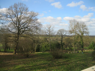 Looking down from the house