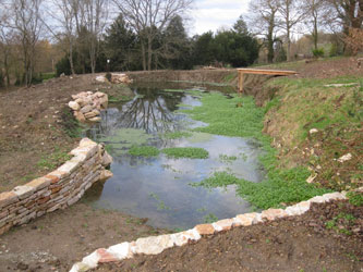 rebuilt pond