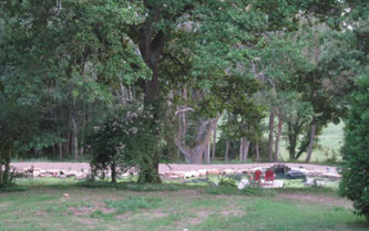 pond