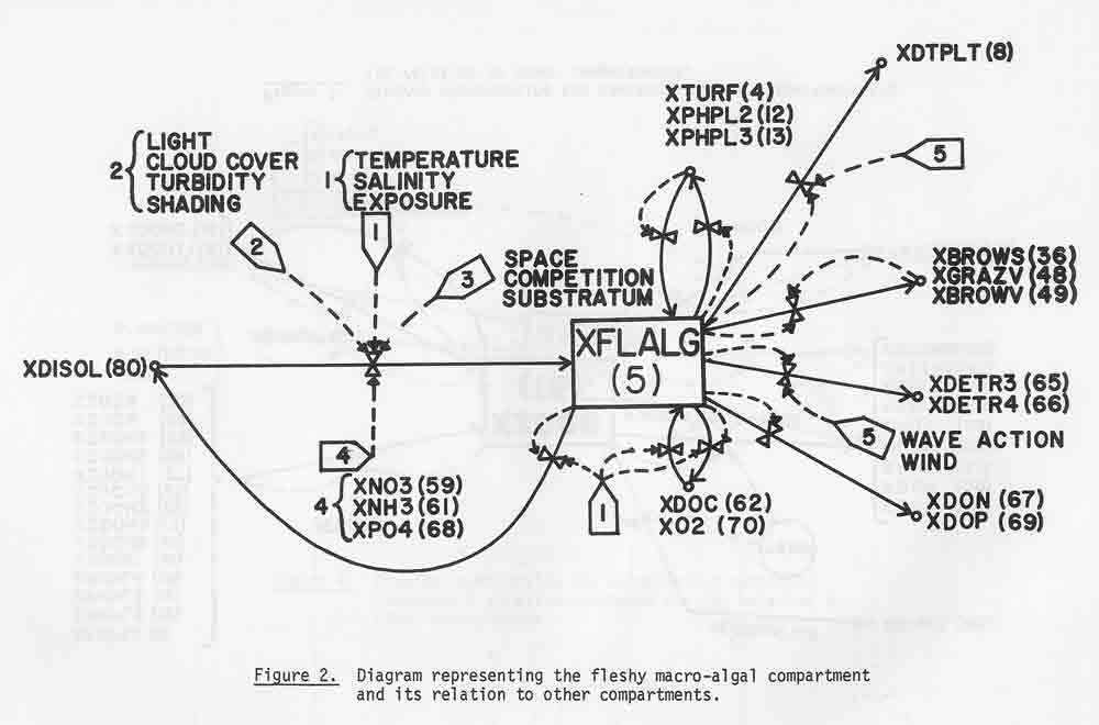 Dahl1974d_20