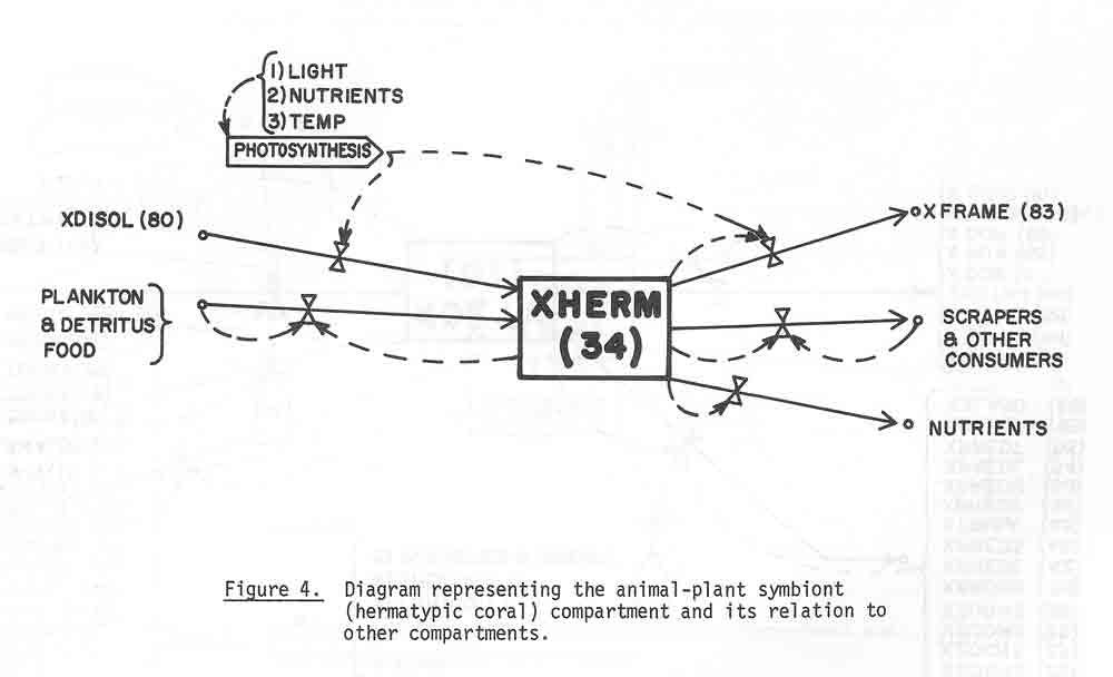 Dahl1974d_22