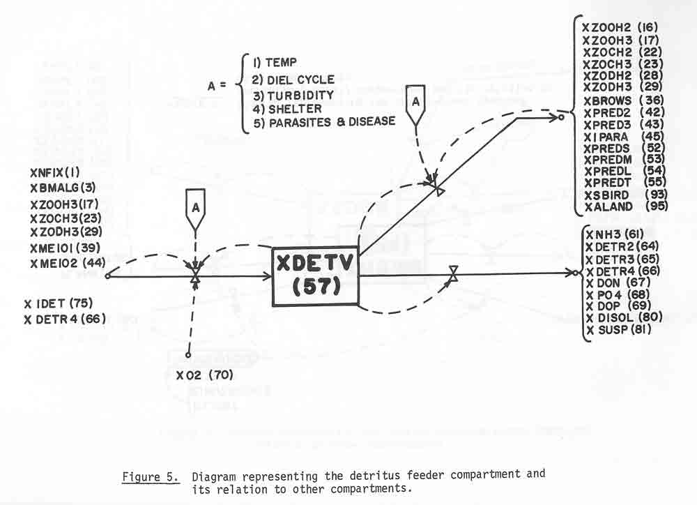 Dahl1974d_23