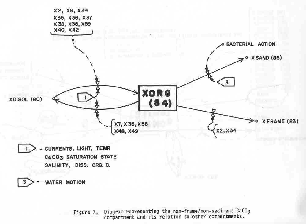 Dahl1974d_25