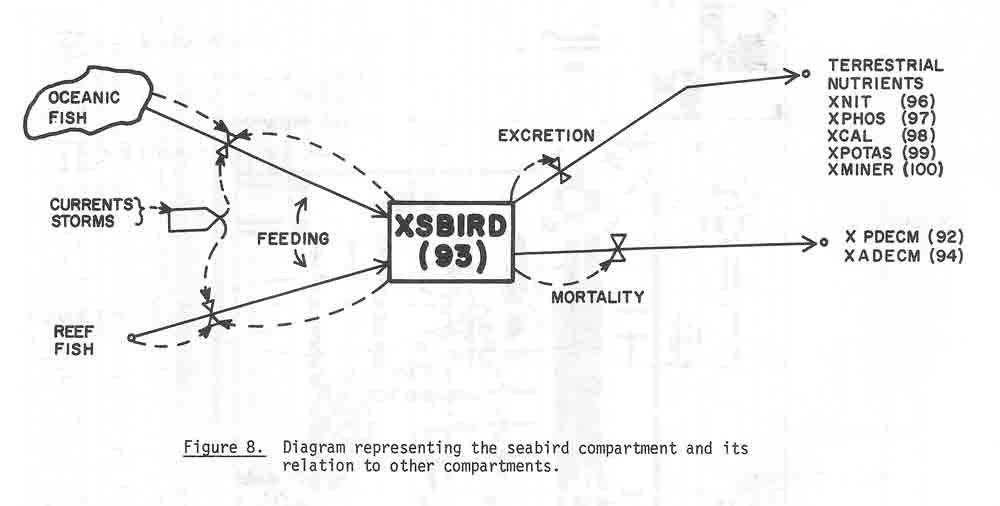 Dahl1974d_26