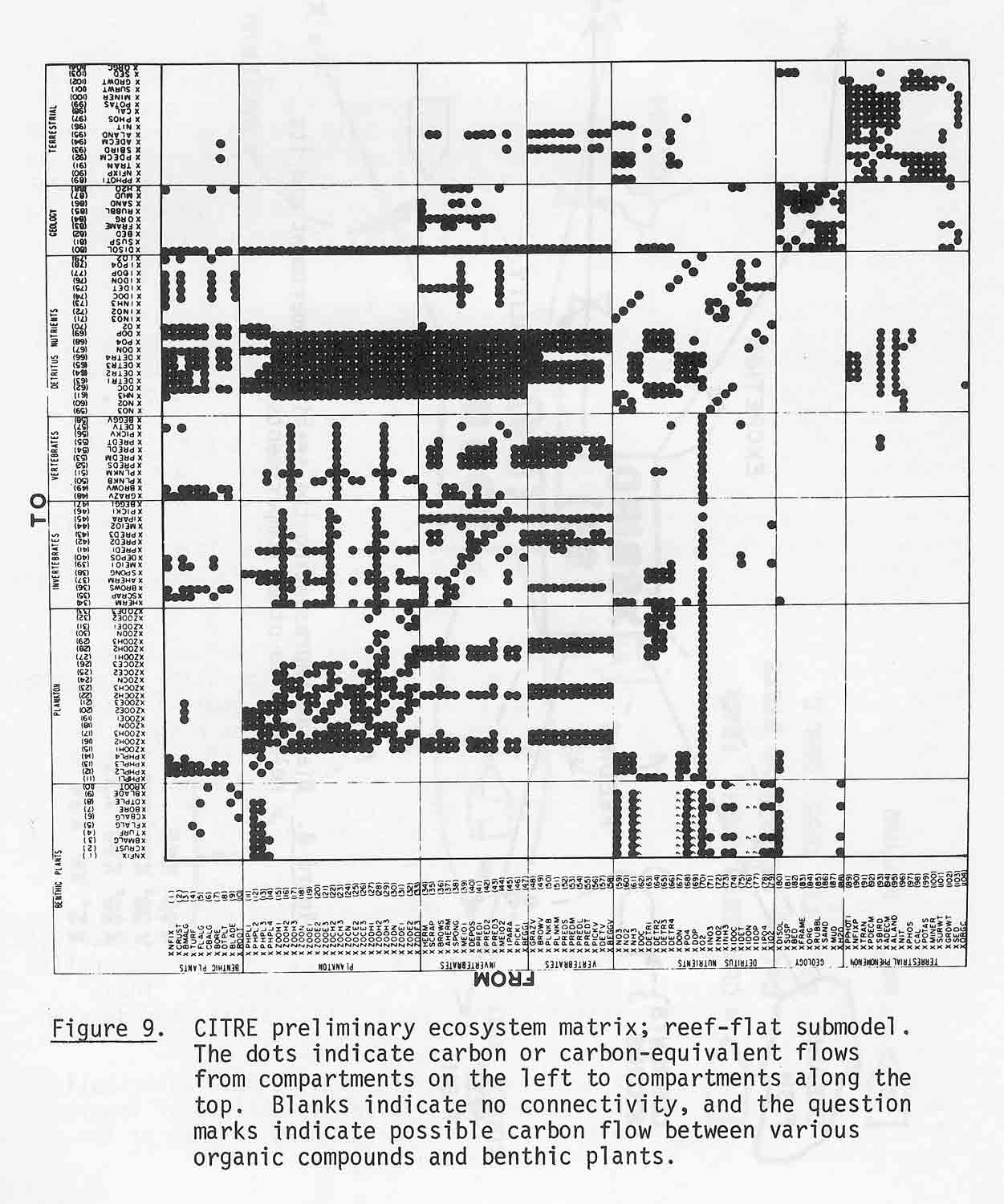 Dahl1974d_27