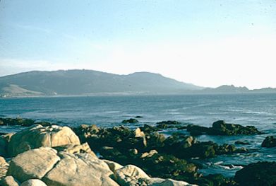 Pescadero Pt., Pebble Beach 1957