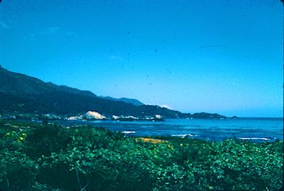 Point Lobos