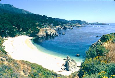 Point Lobos