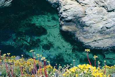 Point Lobos