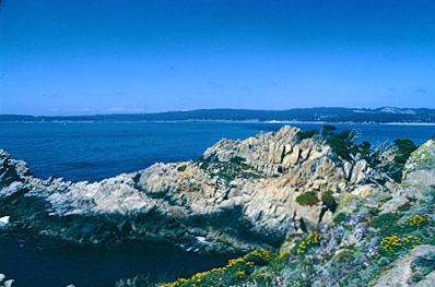 Point Lobos