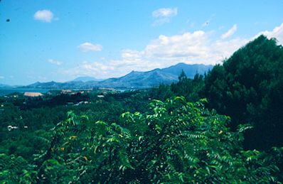 New Caledonia 1980