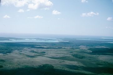 New Caledonia 1982