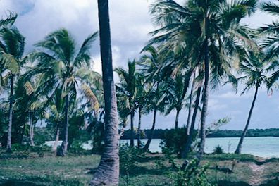 New Caledonia