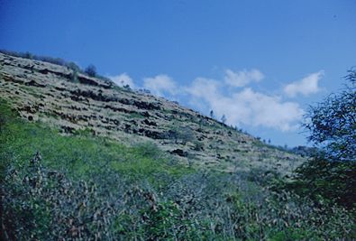 Kauai