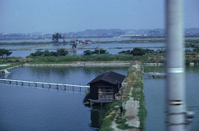 Between Tokyo and Nagoya