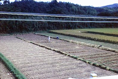 countryside of Japan