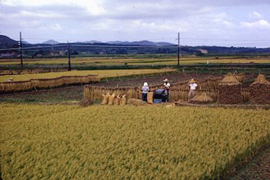 countryside of Japan