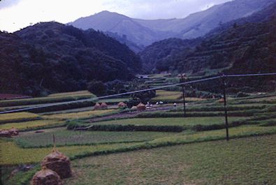 Japanese countryside