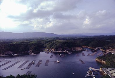 Japanese countryside