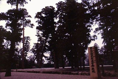 Ise Shrine