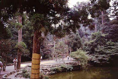 Ise Shrine