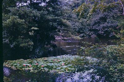 Gardens in Kyoto