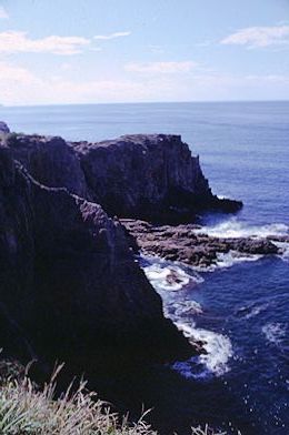 Shirahama