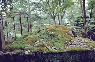 Gardens in Kyoto