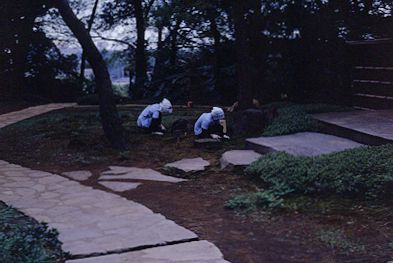 garden Tokyo