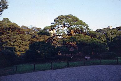 Korakuen Garden, Tokyo