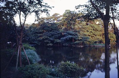 Korakuen Garden, Tokyo