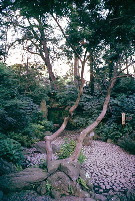 Korakuen Garden, Tokyo