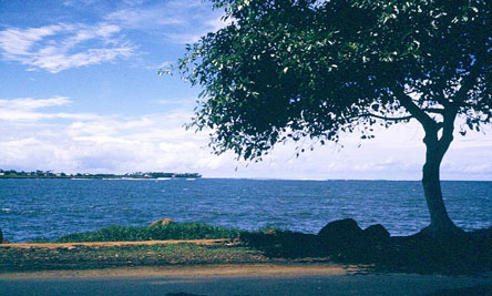 Apia harbour