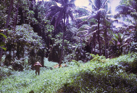 Tutuila Olovalu Crater