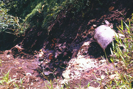 Tutuila abandoned road above Fagasa